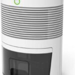 Desumidificador de Ambiente Elétrico Antimofo Drysec Bivolt - RelaxMedic